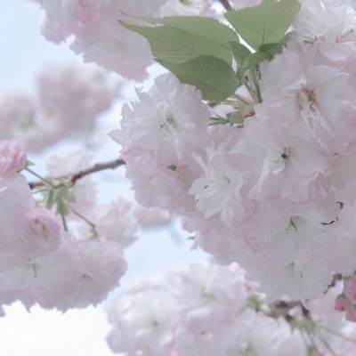 Furry绘画避坑实用指南兽圈社群